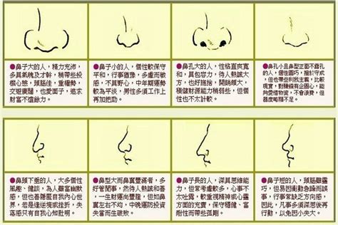 富貴鼻 面相|鼻子看相:五种富贵鼻 鼻子看相:五种富贵鼻女人